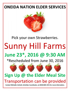 Elder Strawberry Picking @ Sunny Hill Farm | Green Bay | Wisconsin | United States